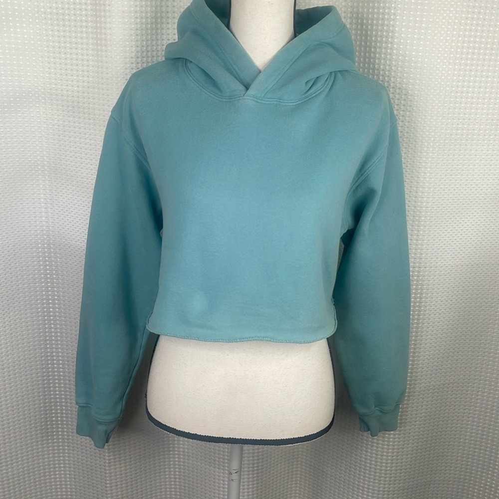 Tna Cropped Hoodie Sweatshirt Fleece Hood Pullover Aritzia Sz S